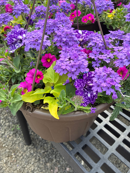 Hanging basket - Tutti Fruitti