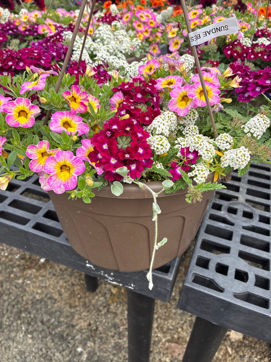 Hanging basket - Sundae Best