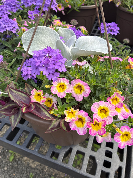Hanging basket - Chalk Mural