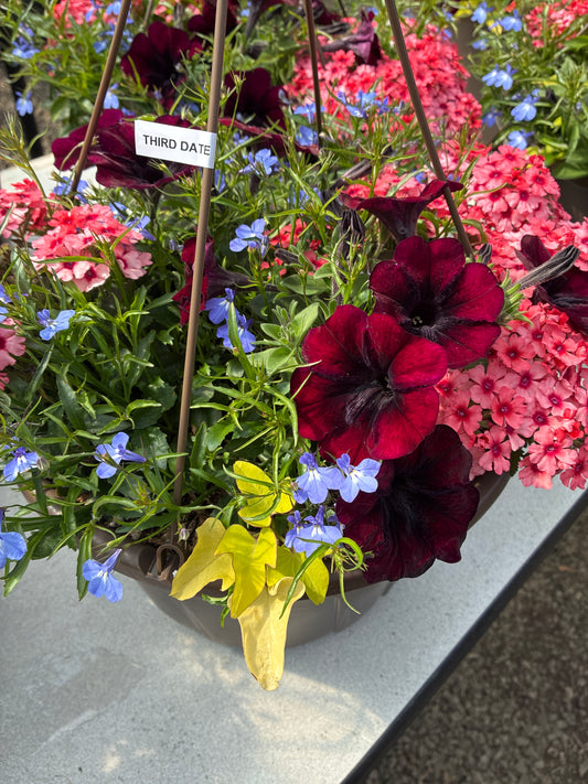 Hanging basket - Third Date