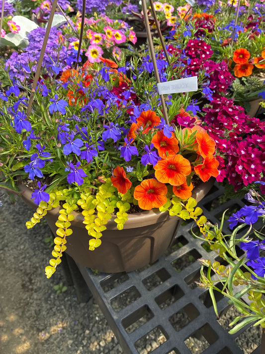 Hanging basket - You’re Hired