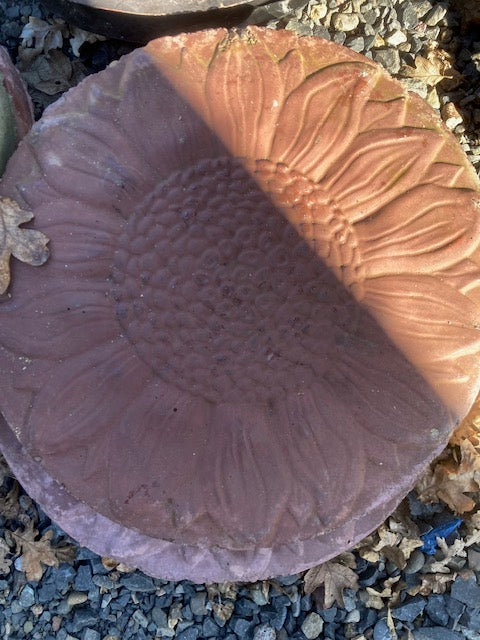 Stepping Stones - Sunflower